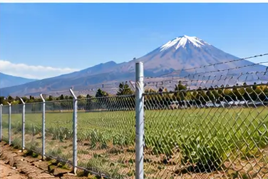 Cerco agrícola de malla olímpica galvanizada en un fundo, con el volcán Misti al fondo